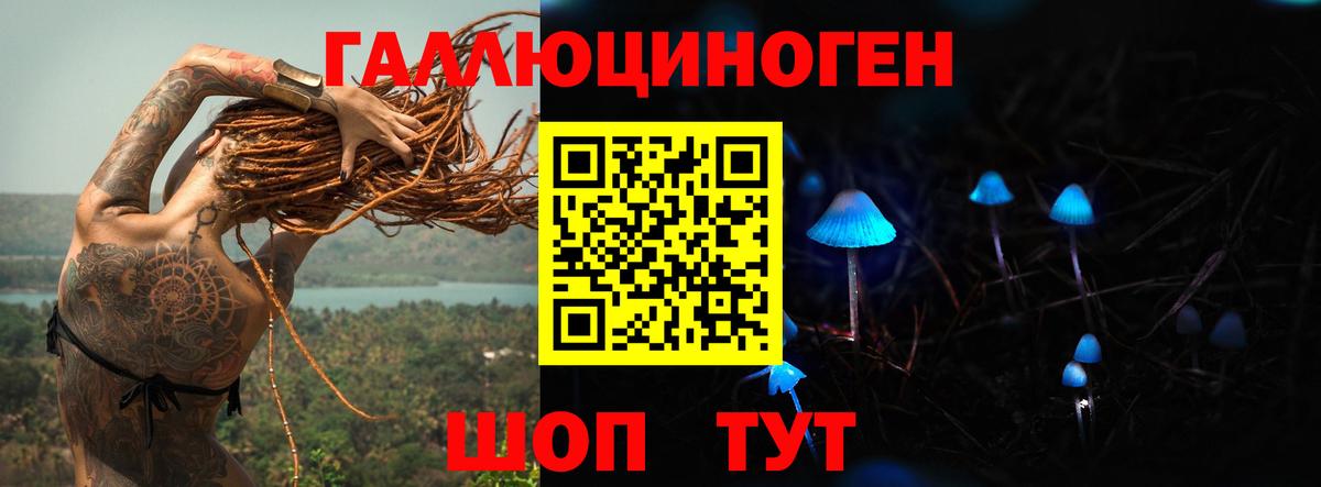 Галлюциногенные грибы Psilocybine cubensis Черногорск