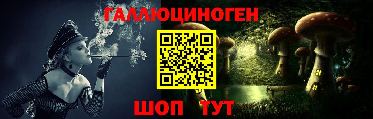 Галлюциногенные грибы MAGIC MUSHROOMS  Вход с VPN  Псилоцибиновые грибы Magic Shrooms  Черногорск 